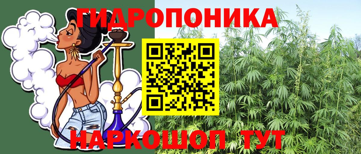 Мегион  Шишки марихуана план  Вход с VPN  Конопля OG Kush  Бошки марихуана THC 21%  Шишки марихуана марихуана 